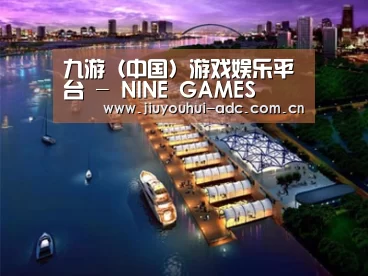 案例展示八