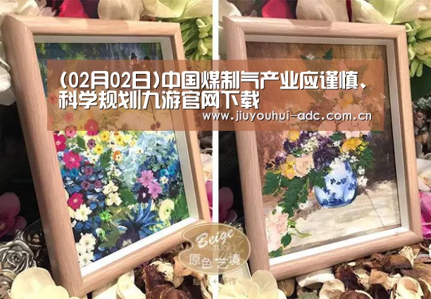 (02月02日)中国煤制气产业应谨慎、科学规划|九游官网下载(图2) 九游游戏盒子下载