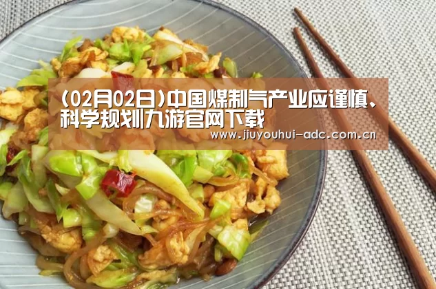 (02月02日)中国煤制气产业应谨慎、科学规划|九游官网下载(图3) 九游游戏中心手机版